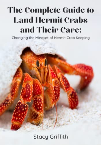The Complete Guide to Land Hermit Crabs and Their Care